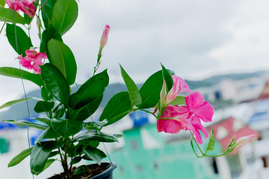 Rk Guesthouse Patong 외부 사진